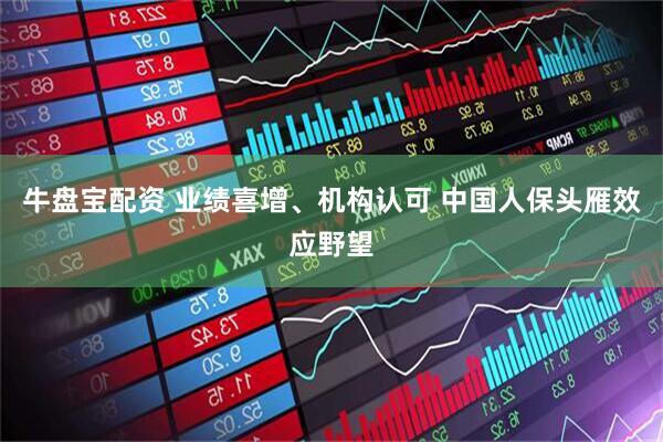 牛盘宝配资 业绩喜增、机构认可 中国人保头雁效应野望
